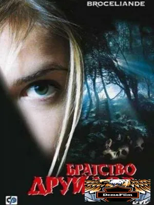 Братство друидов 2003