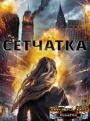 Сетчатка 2017