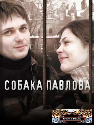Собака Павлова 2005
