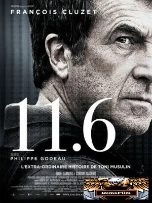 11.6 2013