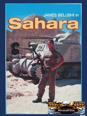 Сахара 1995