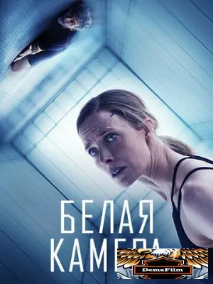 Белая камера 2018