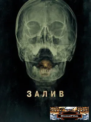 Залив 2012