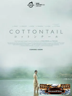 Cottontail 2023