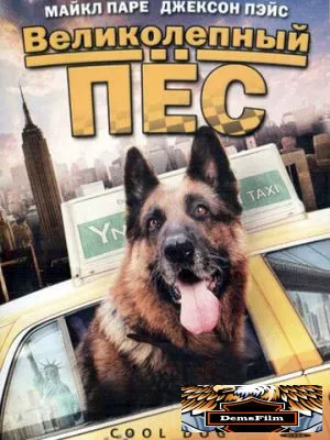 Великолепный пес 2010