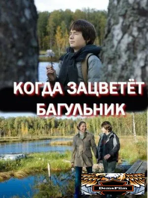 Когда зацветёт багульник 2010