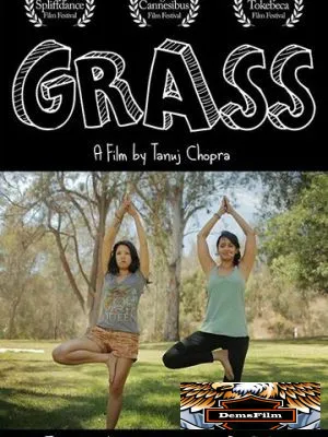 Grass 2017