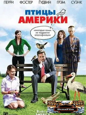 Птицы Америки 2008