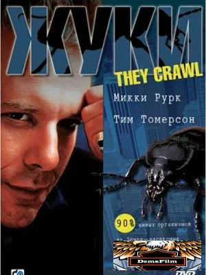Жуки 2001