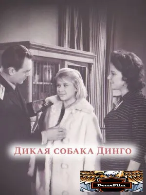 Дикая собака динго 1962