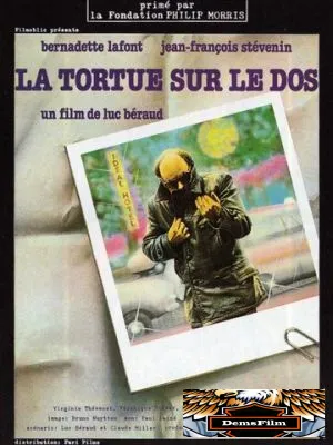 Черепаха на спине 1978
