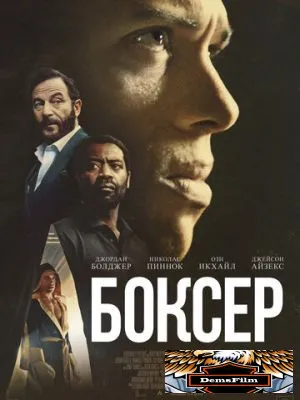 Боксёр 2024