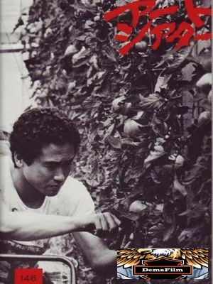 Отдалённый гром 1981