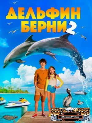 Дельфин Берни 2 2019