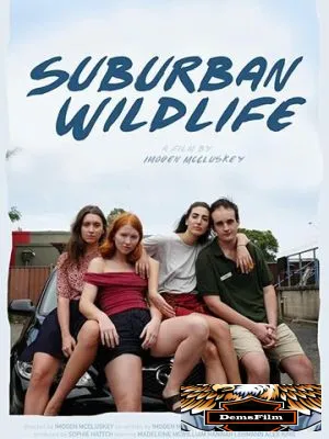 Suburban Wildlife 2019