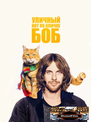 Уличный кот по кличке Боб 2016