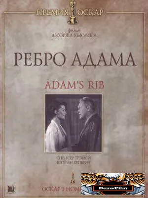 Ребро Адама 1949