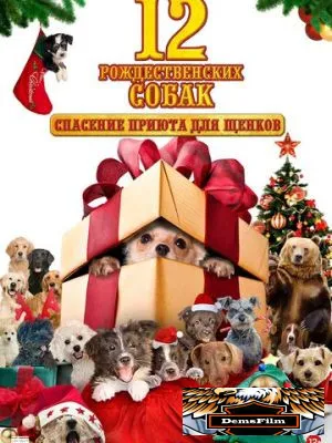 12 рождественских собак: Спасение приюта для щенков 2012
