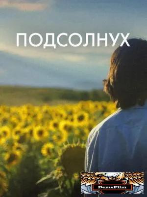 Подсолнух 2023