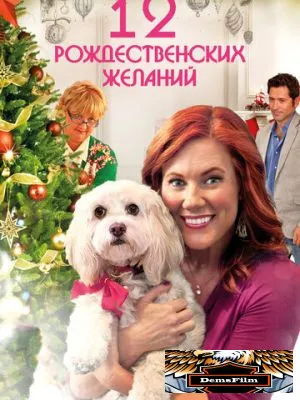 12 Рождественских желаний 2011