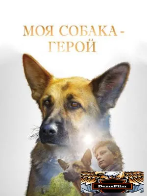 Моя собака - герой 2018
