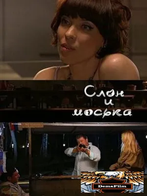 Слон и моська 2010