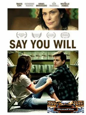 Say You Will 2017