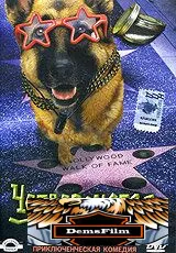 Четвероногая звезда 2002