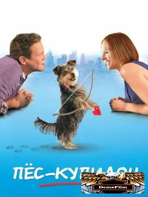 Пес-купидон 2012