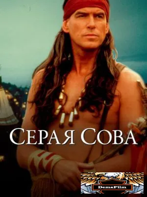 Серая сова 1998