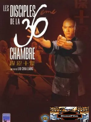 Ученики 36 ступеней Шаолиня 1985