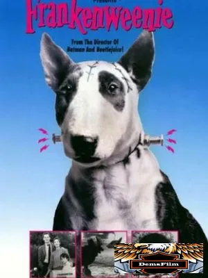 Франкенвини 1984