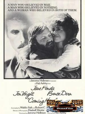 Возвращение домой 1978