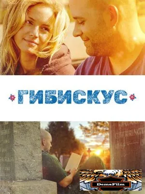 Гибискус 2018