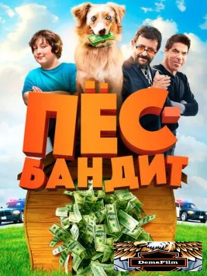 Пёс Бандит 2016