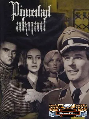 Темные окна 1968