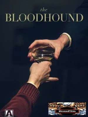 The Bloodhound 2020