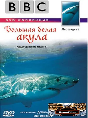 BBC: Большая белая акула 1995