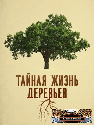 Тайная жизнь деревьев 2020