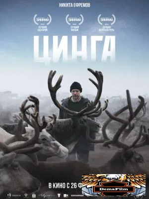 Цинга 2025