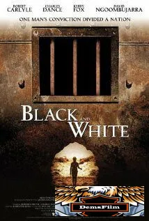 Черное и белое 2002