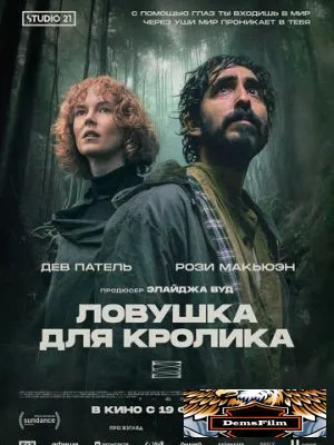 Ловушка для кролика 2025