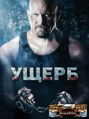Ущерб 2009