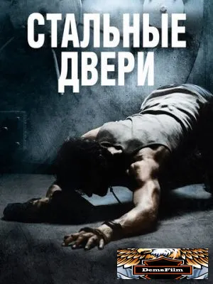 Стальные двери 2010