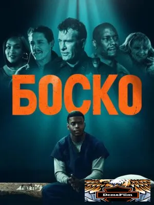 Боско 2024