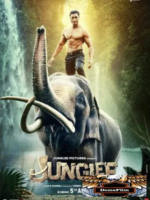 Джунгли 2019