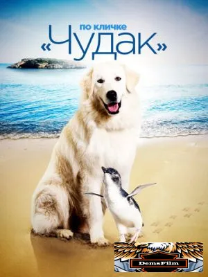 По кличке «Чудак» 2015