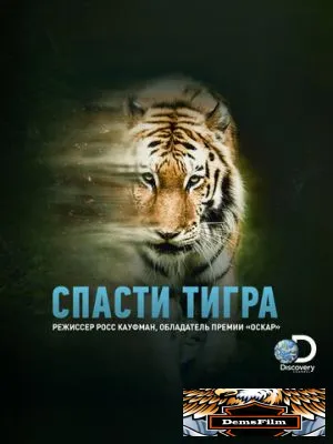 Спасти тигра 2019