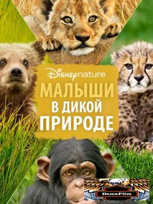 Малыши в дикой природе 2015