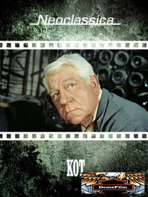 Кот 1971